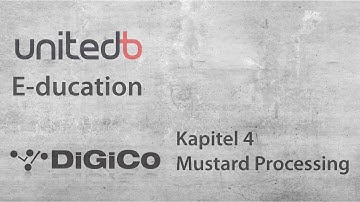 DiGiCo Quantum #4 Mustard Processing