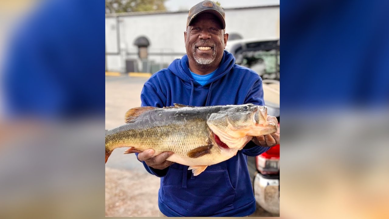 Epic Bass Fishing Adventure! Catching Giants with Pro Tips & Tricks