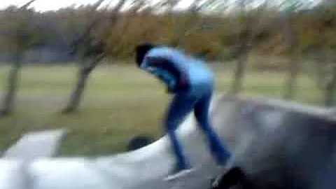 Roy and Mathias Skateboarding