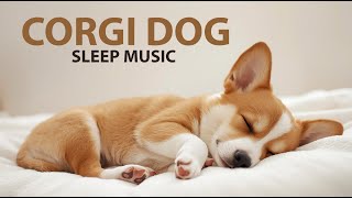 Corgi Sleep Music 🐾 Deep & Gentle Relaxing Sounds for Happy, Restful Dogs screenshot 5