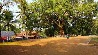 കലലപപറ അമപലതതൽ... 17-04-2014 Kallooppara Temple.
