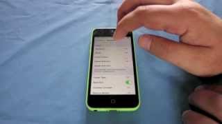 iPhone 5c Disabled Setting