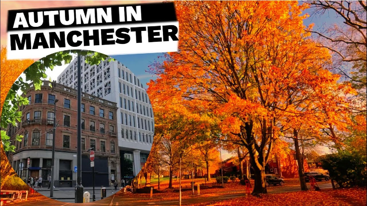 Осенняя магия в городе: уютное кинематографическое приключение | 4k