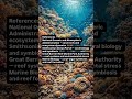 Coral looks like rock, but it's not. It is a living system built from many small creatures.
