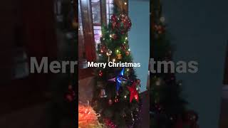Belated Christmas Wishes To All 