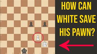 This Endgame Puzzle Has Only One Drawing Move – Can You Find It?