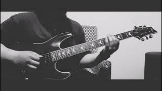 Purple Rain(Prince) - Martin Miller & Mark Lettieri (Solo Cover)