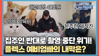 집주인 반대로 촬영 중단 위기! 플렉스 예비엄빠의 내막은? [#고딩엄빠4] | 20240124 방송