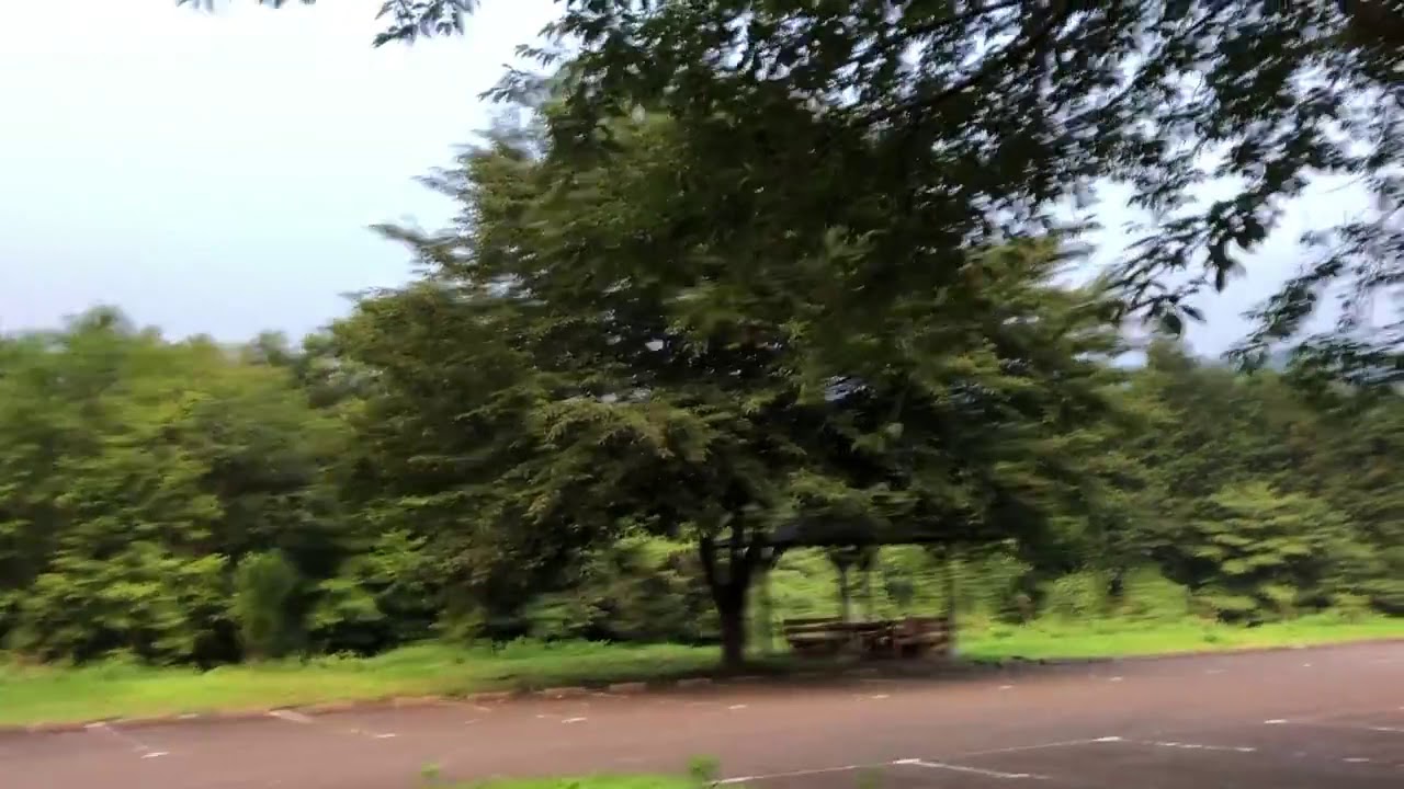 ひぐらしの声 カナカナゼミ Youtube ひぐらしの声 カナカナゼミ Youtube