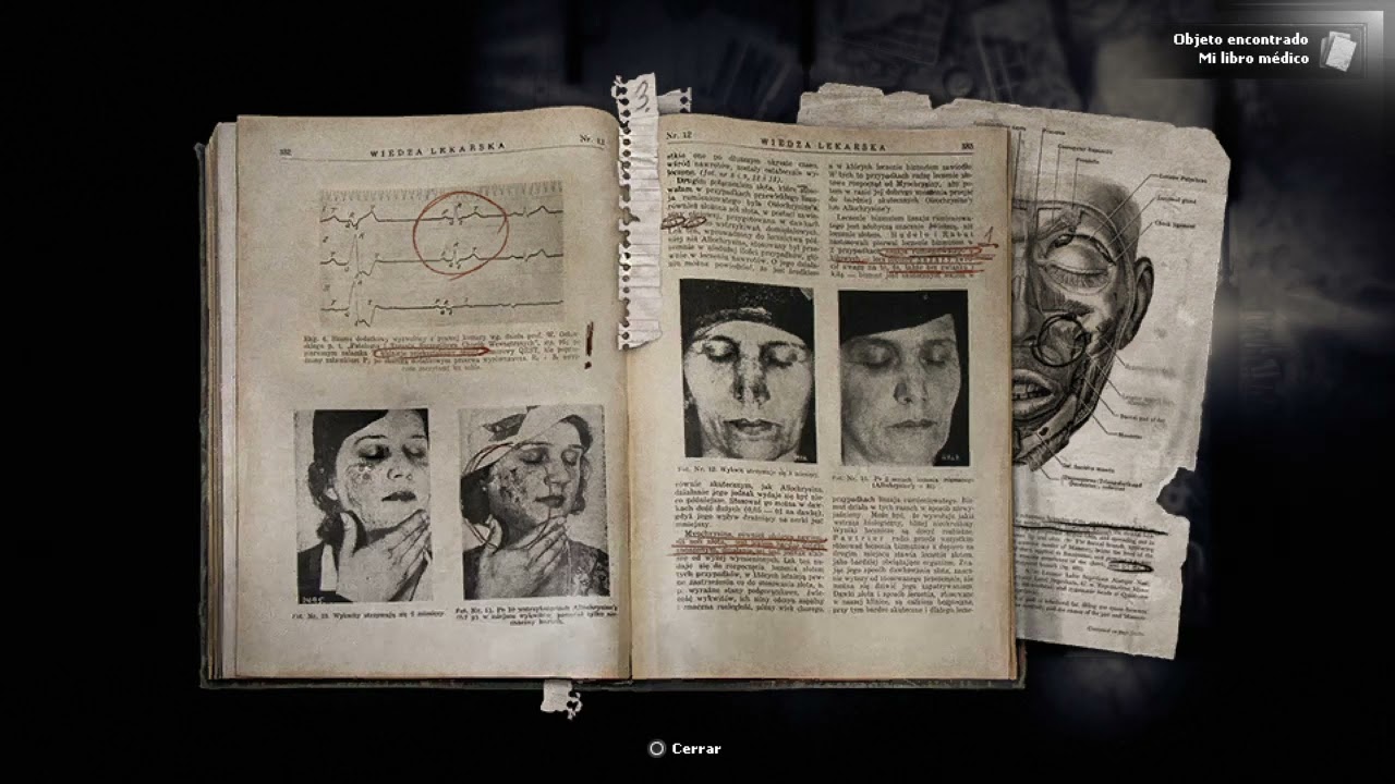 Darkwood.Gameplay en español capitulo 1 los terrores del bosque