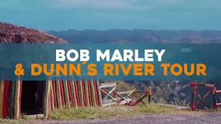 Bob Marley & Dunn`s River Tour - Jamaica | Apple Vacations®
