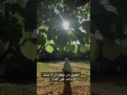 لا سند دائم غير الله