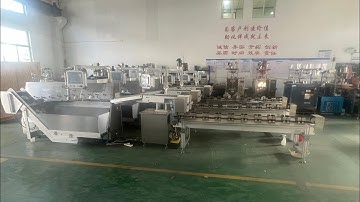 pet food bags sorting counting carton box packaging line | doypack pouch counter boxer machinery