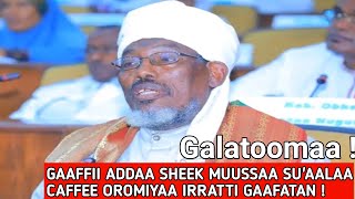GAAFFII ADDAA SHEEK MUUSSA SU'AALA CAFFEE OROMIYA IRRATTI GAAFATE #ethiopia #oromo #muslim#harargee