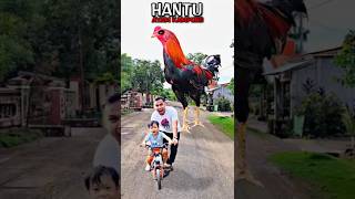 Apa❗Dikejar ayam Jantan ❗Begini Cara Buatnya❗#editing #tutorial