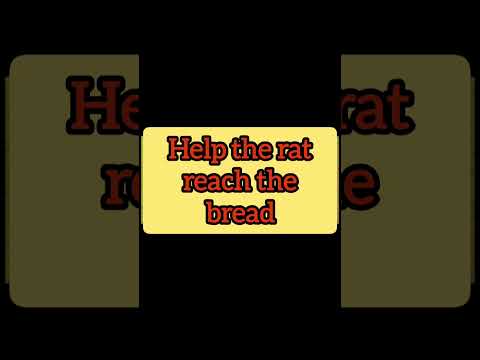 Rat puzzle । Find the path, help the rat reach bread #shorts #shortsviral