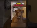 Тот момент, когда видишь все свои ошибки разом