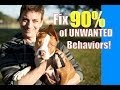 Doing THIS will eliminate over 90% of behavior problems in your dog. Doing THIS will eliminate over 90% of behavior problems in your dog.