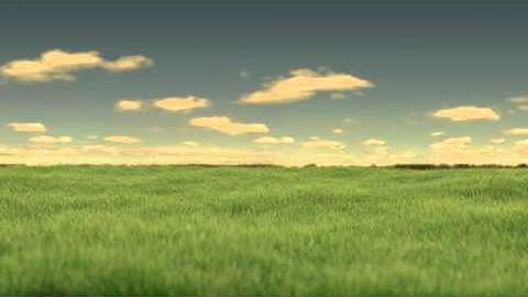 grass animation