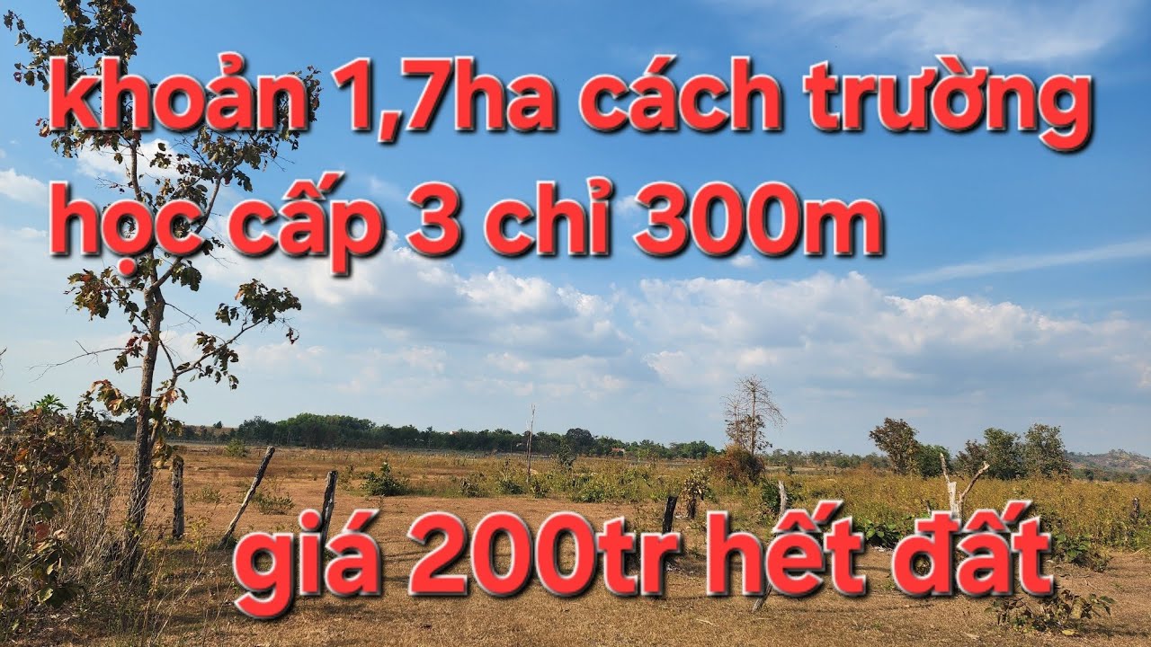 Khoản 1,7ha cách trường học cấp 3 chỉ 300m.  Giá tổng chỉ 200tr hết đất 