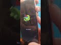 iPhone Copy Hard Reset 2026