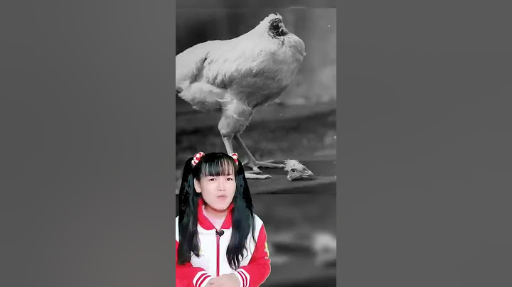 "ไมค์" ไก่ไร้หัวผู้เป็นตำนาน #เรื่องแปลก