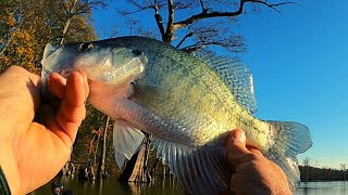 'Floating around the lake and catching loads of winter Crappie'