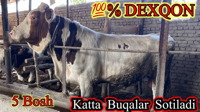 Oyoq fetish jinsiy aloqa video Yangi Naruto porno tomosha qiling