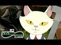 Learn French With The Cat | Infinity Train | Cartoon Network