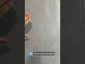 Вот какая должна быть штукатурка в квартире