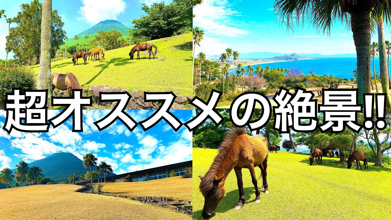 鹿児島絶景】馬と綺麗な景色が一望出来る超オススメ穴場スポット