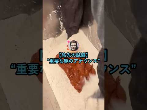 【旅先の試練】重要な駅のアナウンス【2ch面白いスレ】のサムネイル