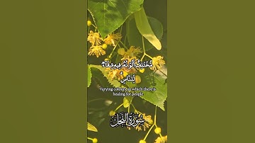 سورة النحل آية ٦٩.  Sourate An-Nahl Verset 79 #islam