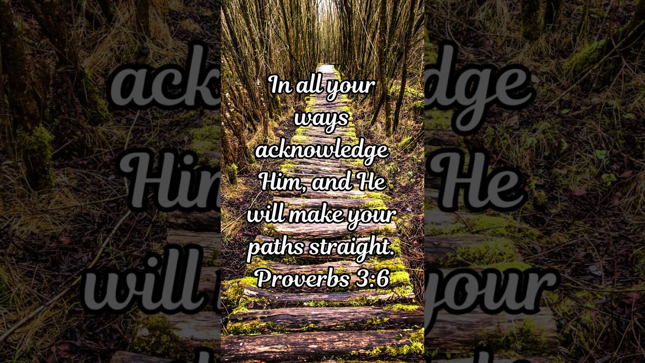 God Will Direct Your Path   