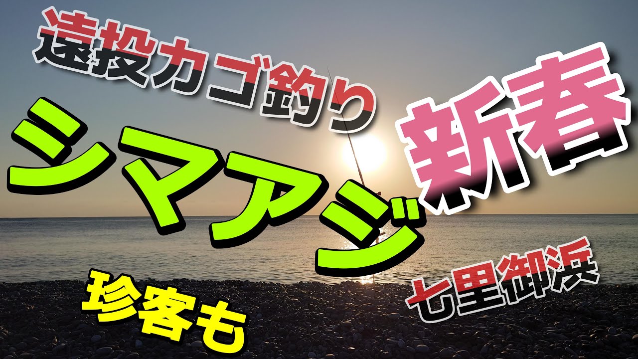 2025年お正月、真冬の七里御浜で今年の釣果を占いました！　遠投カゴ釣りで攻略。釣果は　シマアジ！　そして珍客。