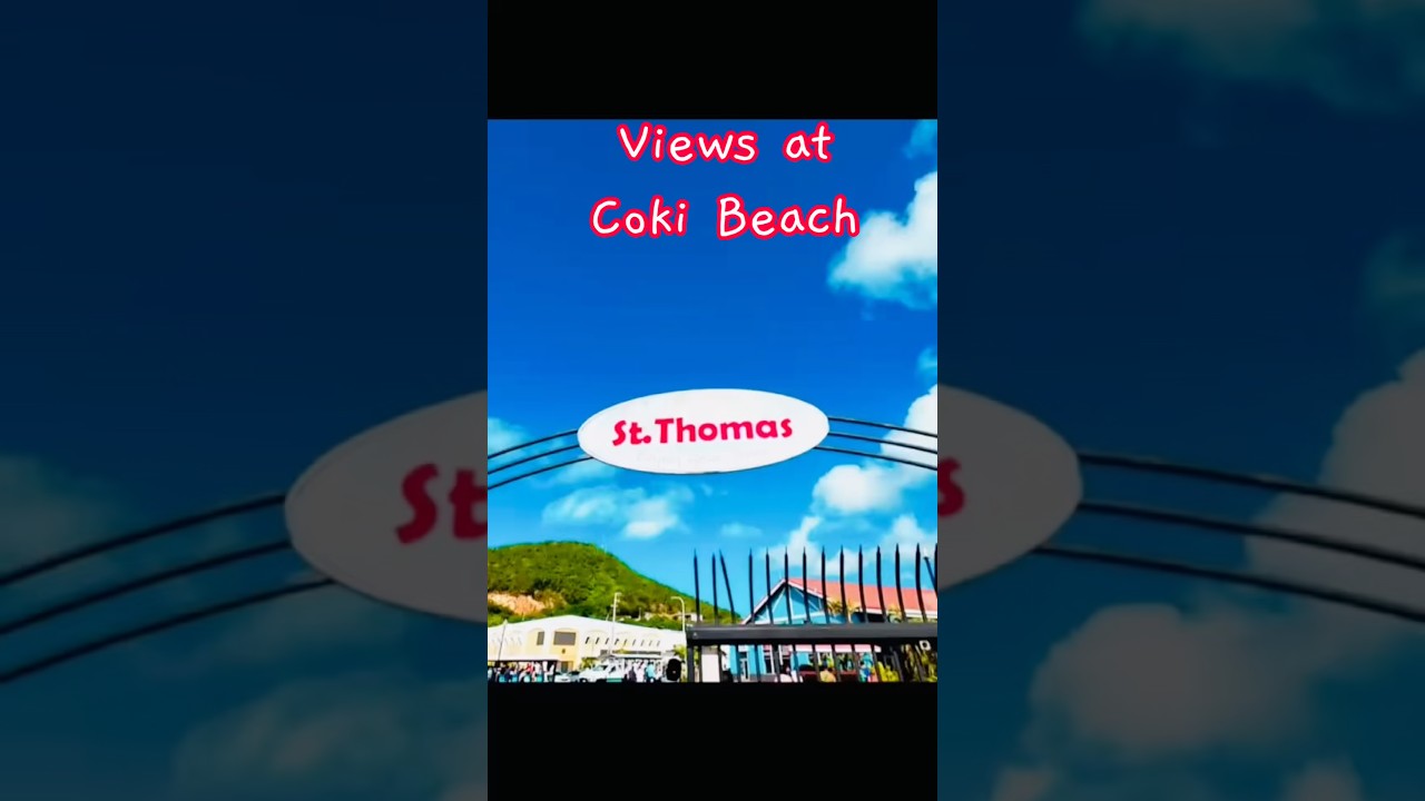 Coki Beach St Thomas Cruise Stop snorkeling #cruisetips #cokibeach #stthomas