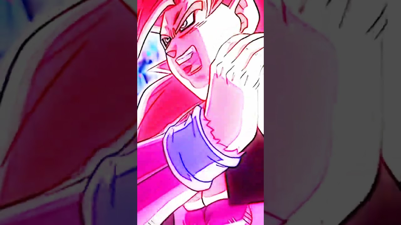 Xeno Gogeta vs Xeno Vegito 