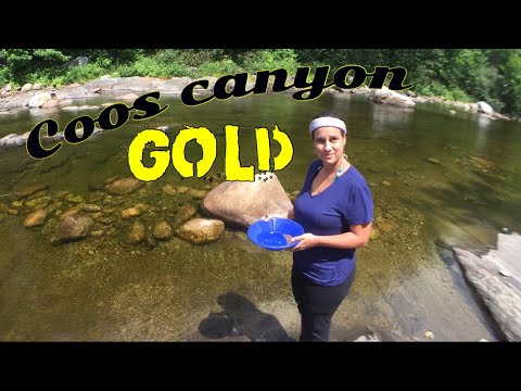 Coos canyon GOLD in 2019