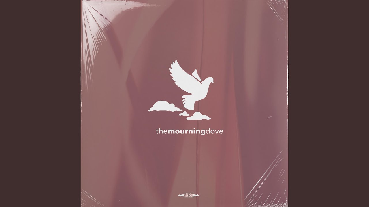 The Mourning Dove