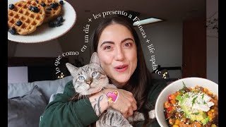 Les presento a 🐱Finneas🐱 + lqceud + life update / Dossier Collab by Vegan Booty 3,932 views 8 months ago 28 minutes