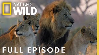 Win Or Die Full Episode Savage Kingdom