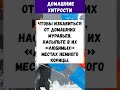 КАК ИЗБАВИТЬСЯ ОТ МУРАВЬЁВ? | ЛАЙФХАКИ | ДОМАШНИЕ ХИТРОСТИ
