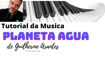 Como se interpreta a segunda estrofe da música Planeta Água?
