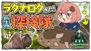 本間ひまわりの配信のサムネイル画像