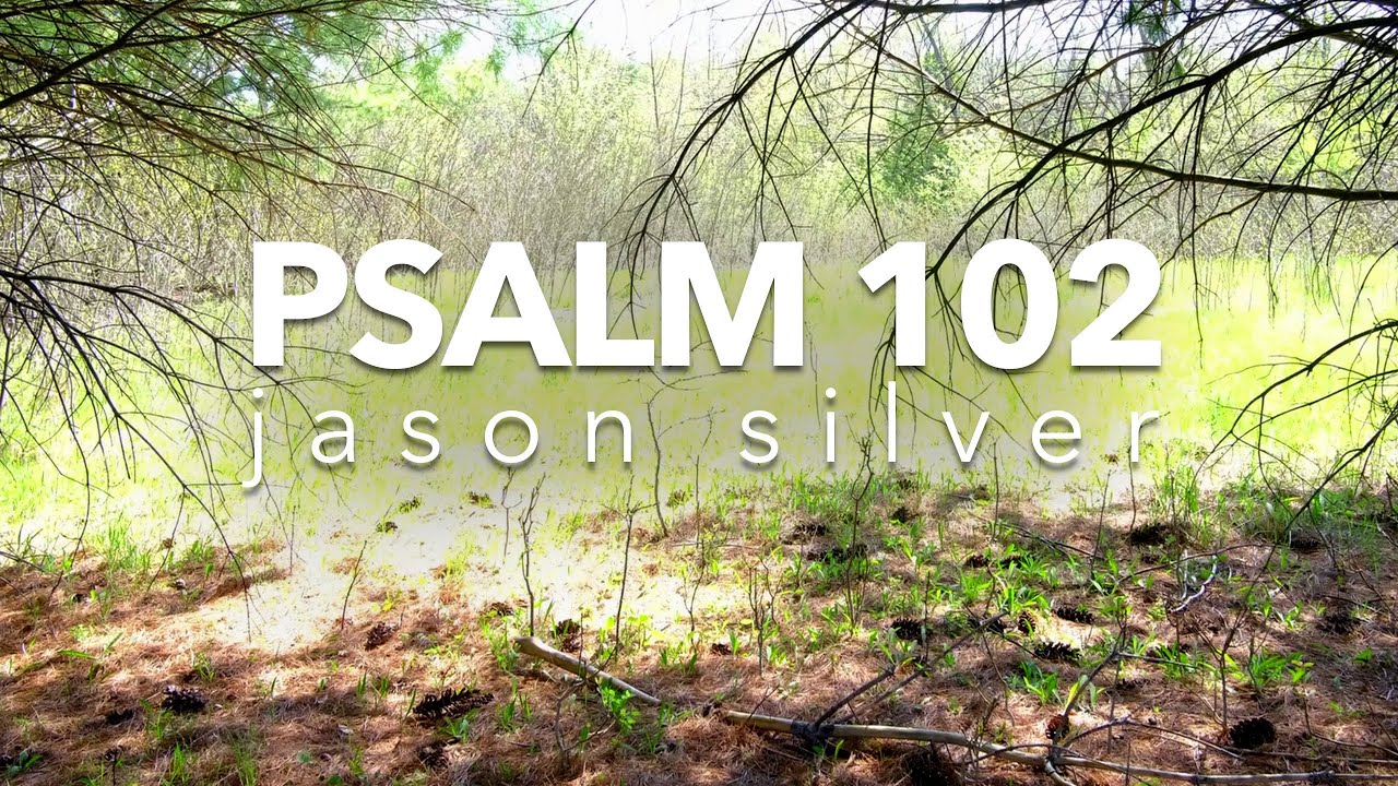  Psalm 102 Song   Day of My Distress