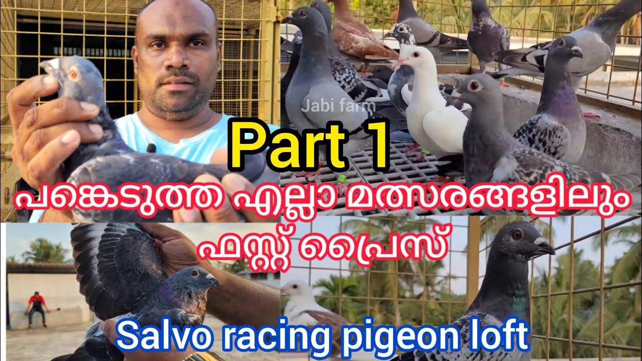 പങ്കെടുത്ത ആറോളം മത്സരങ്ങളിൽ ഫസ്റ്റ് അടിച്ച റേസിംഗ് ഹോമറുകളും, കേരളത്തിലെ തന്നെ മികച്ചൊരു ലോഫ്റ്റും.