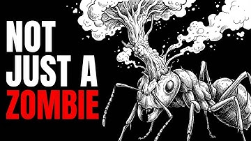The Insane Biology Of: Zombie Fungus