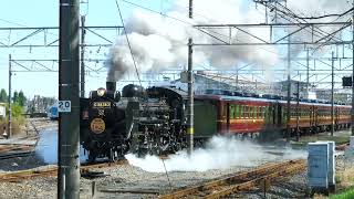 良い煙形です。蒸気機関車の発車シーン　C58　広瀬川原基地　回送出発　パレオエクスプレス　２０２２年１０月３０日　ハロウィーンのヘッドマーク