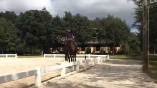Hunter flatwork w Marjory