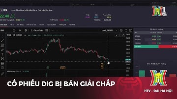 Cổ phiếu DIG bị bán giải chấp | Tin tức
